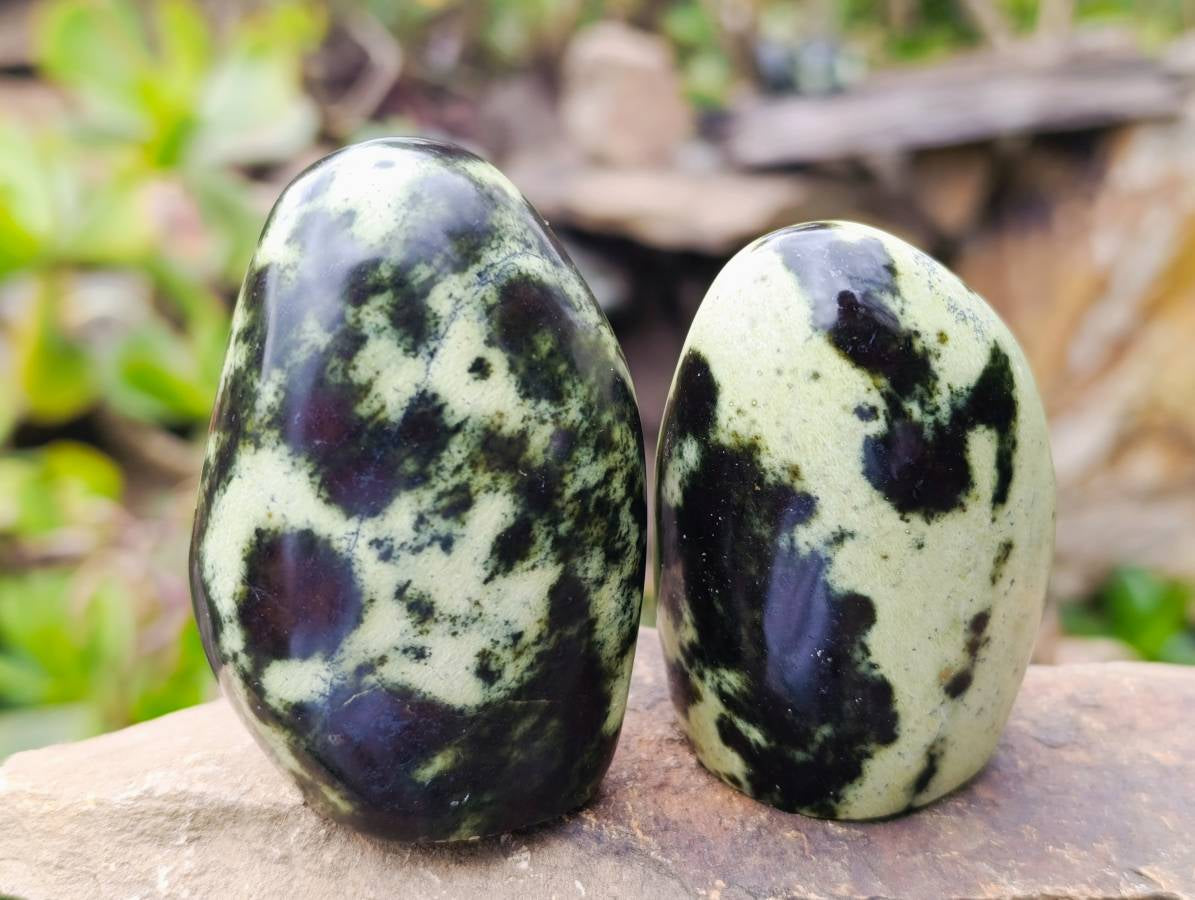 Polished Leopard Stone Standing Free Forms x 6 From Nyanga, Zimbabwe - Toprock Gemstones and Minerals 