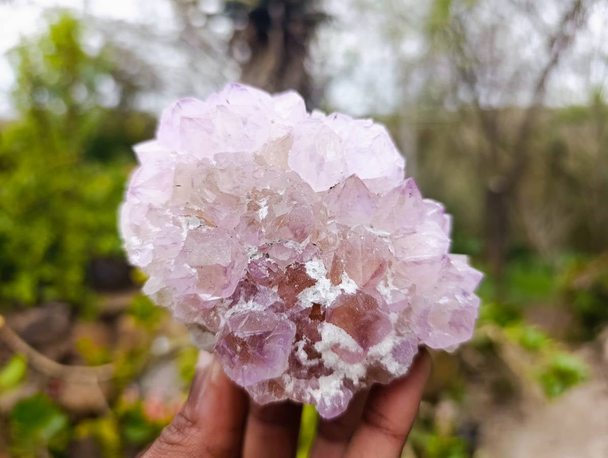 Natural Amethyst Spirit Quartz Clusters x 3 From Boekenhouthoek, South Africa - Toprock Gemstones and Minerals 