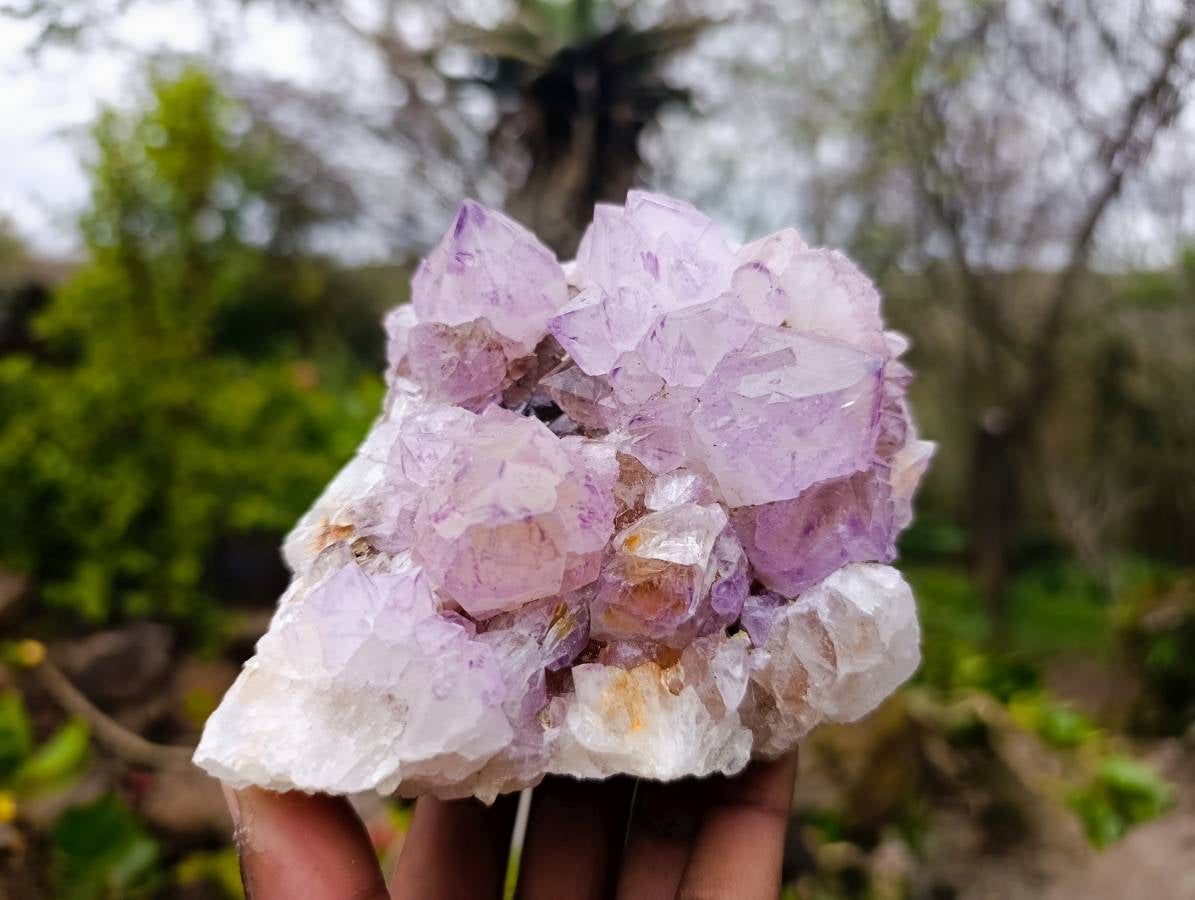 Natural Amethyst Spirit Quartz Clusters x 3 From Boekenhouthoek, South Africa - Toprock Gemstones and Minerals 