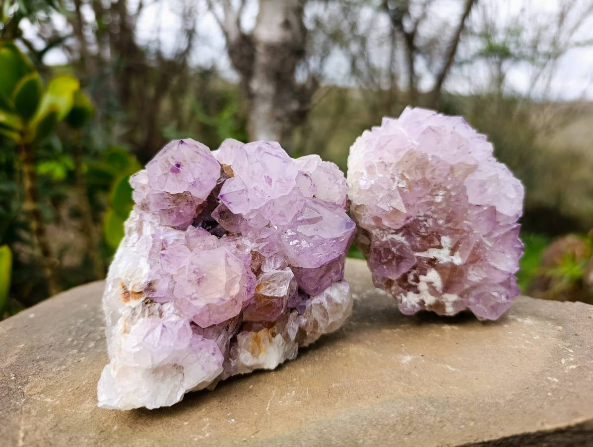 Natural Amethyst Spirit Quartz Clusters x 3 From Boekenhouthoek, South Africa - Toprock Gemstones and Minerals 