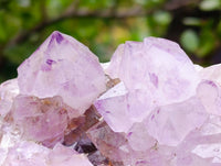 Natural Amethyst Spirit Quartz Clusters x 3 From Boekenhouthoek, South Africa