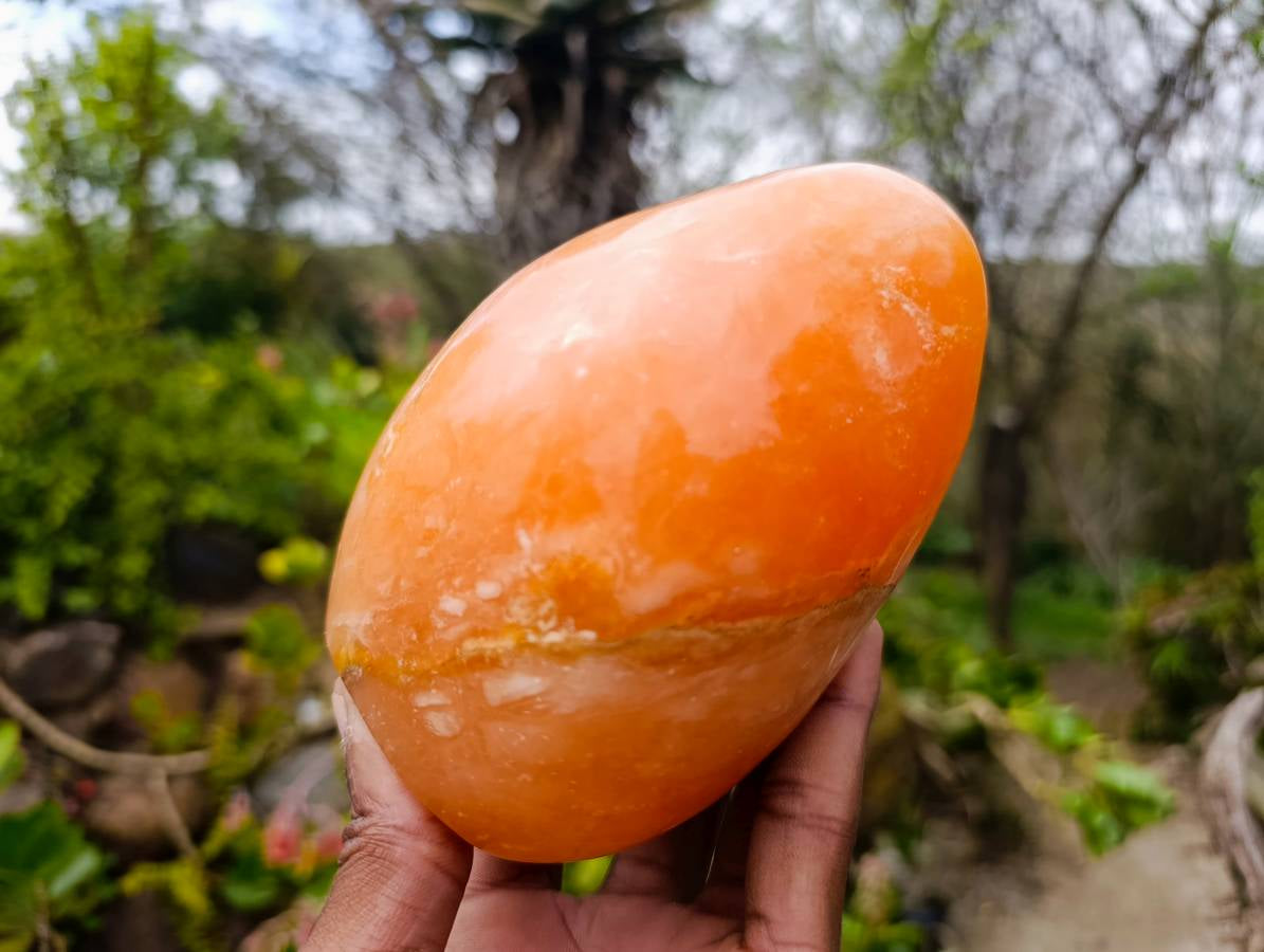 Polished Orange Twist Calcite Standing Free Forms x 2 From Madagascar - Toprock Gemstones and Minerals 