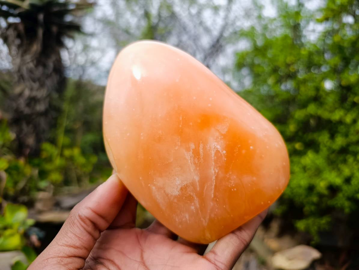 Polished Orange Twist Calcite Standing Free Forms x 2 From Madagascar - Toprock Gemstones and Minerals 