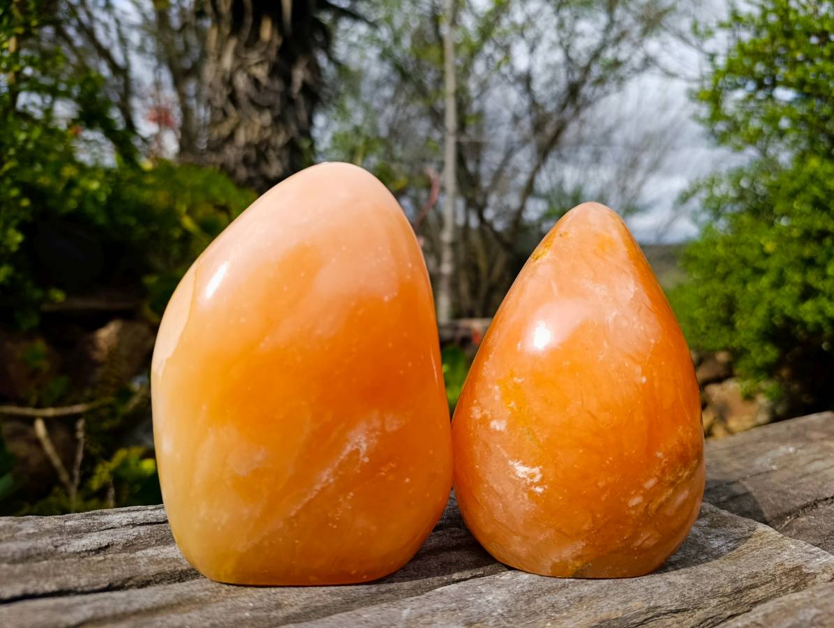 Polished Orange Twist Calcite Standing Free Forms x 2 From Madagascar - Toprock Gemstones and Minerals 