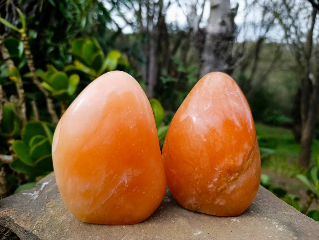 Polished Orange Twist Calcite Standing Free Forms x 2 From Madagascar - Toprock Gemstones and Minerals 