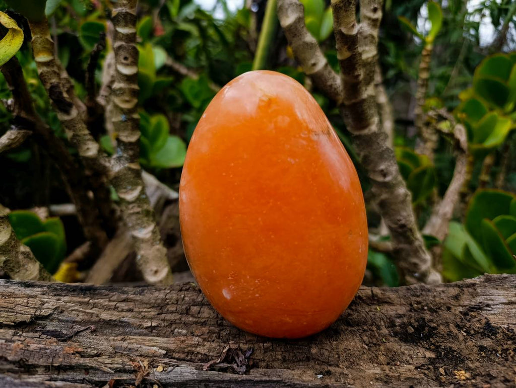 Polished Orange Twist Calcite Standing Free Forms x 2 From Madagascar - Toprock Gemstones and Minerals 