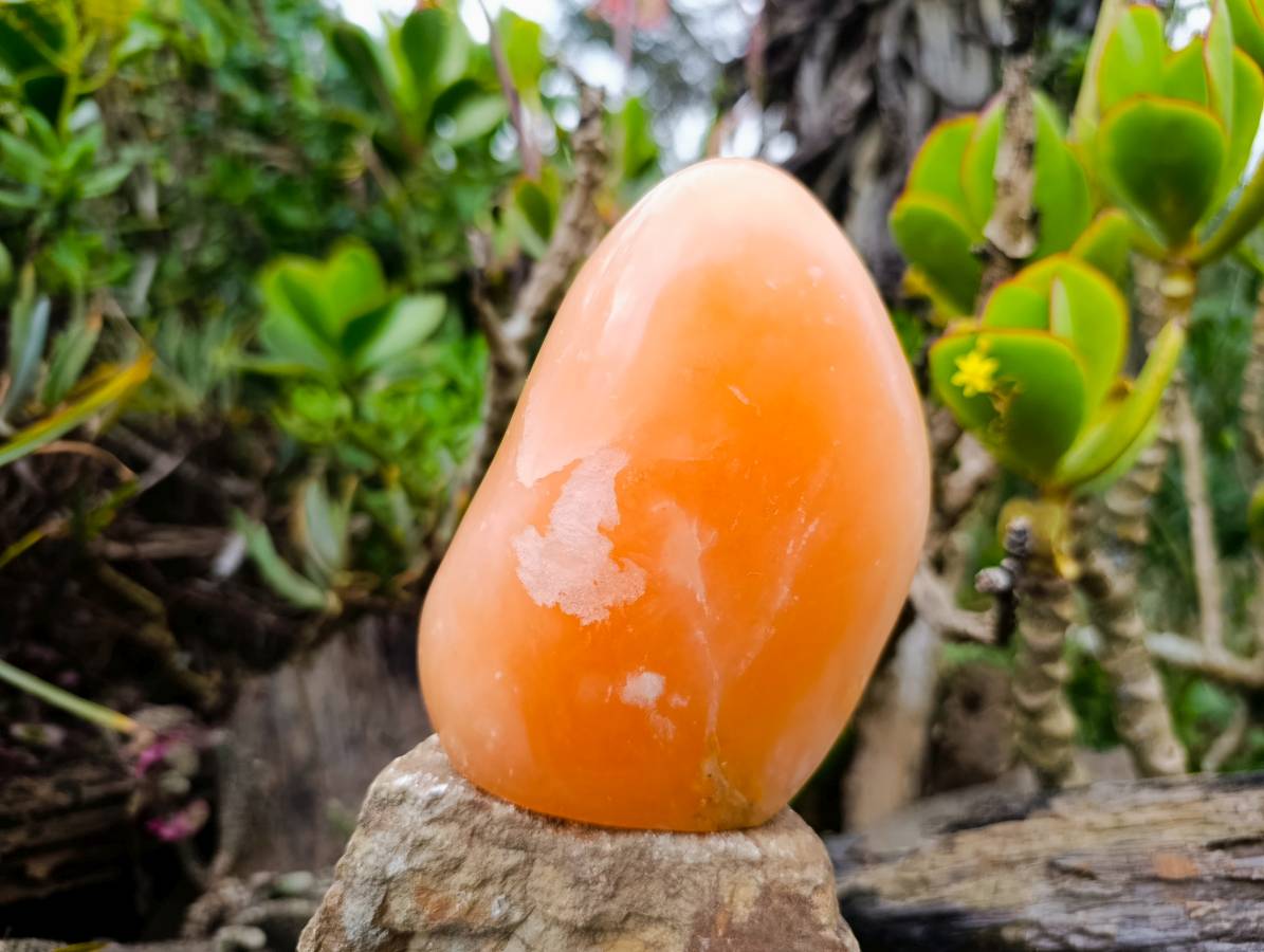 Polished Orange Twist Calcite Standing Free Forms x 2 From Madagascar - Toprock Gemstones and Minerals 