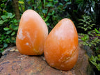 Polished Orange Twist Calcite Standing Free Forms x 2 From Madagascar - Toprock Gemstones and Minerals 