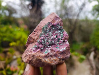 Natural Drusy Salrose with Chrysocolla and Malachite x 6 From Kakanda, Congo