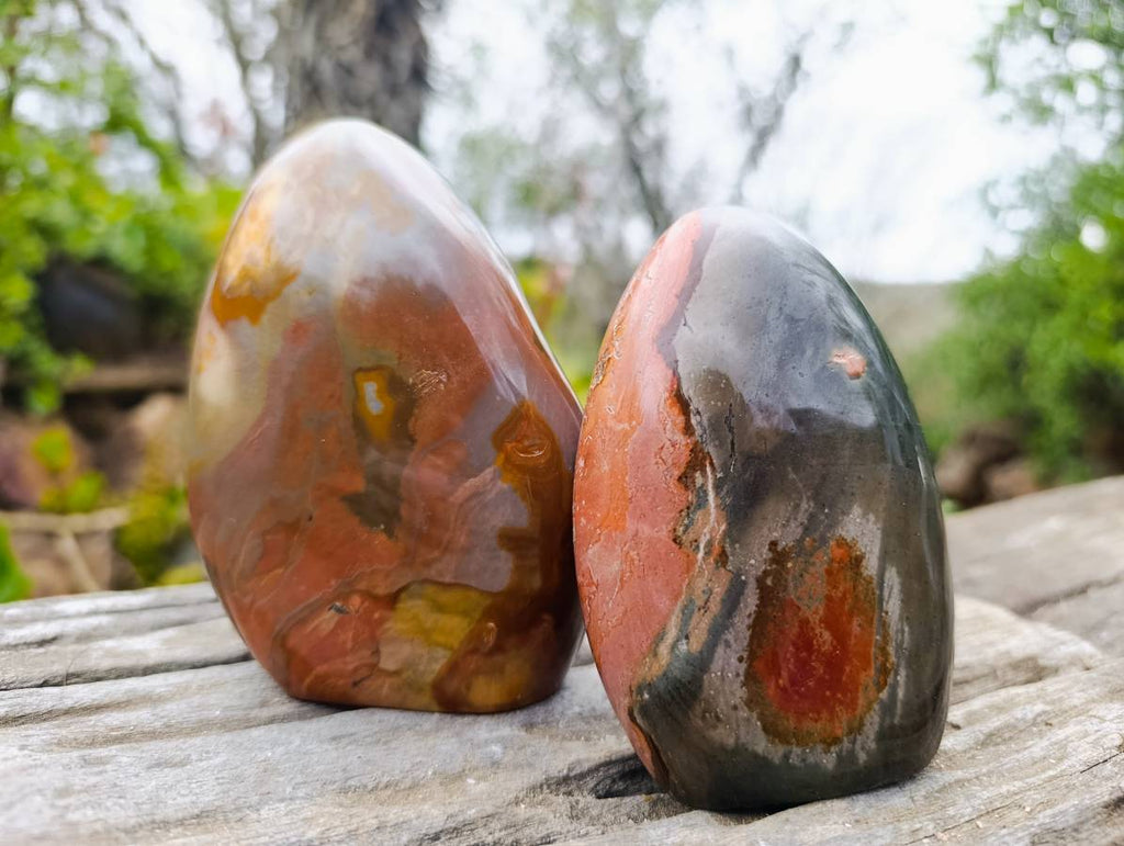 Polished Polychrome Jasper Standing Free Forms x 2 From Madagascar - Toprock Gemstones and Minerals 