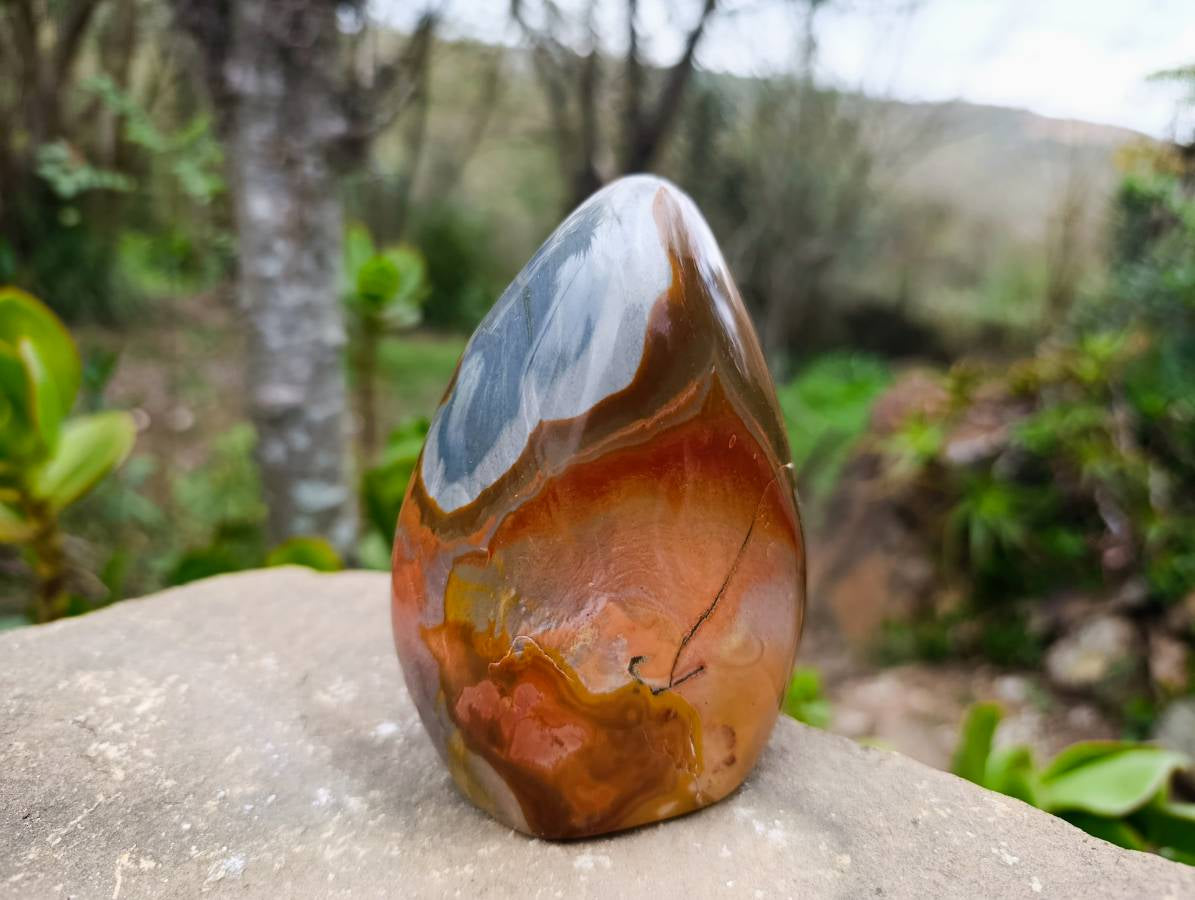 Polished Polychrome Jasper Standing Free Forms x 2 From Madagascar - Toprock Gemstones and Minerals 