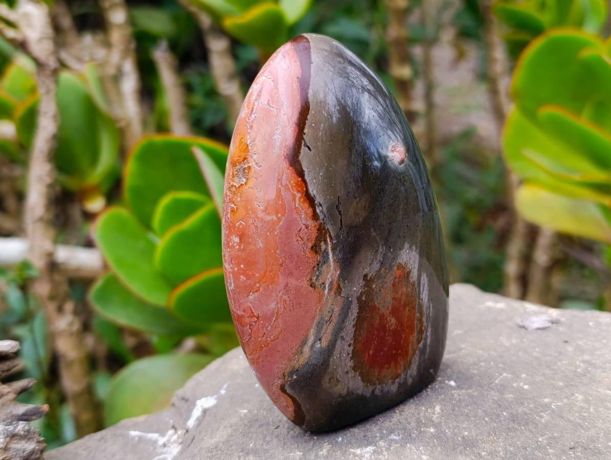 Polished Polychrome Jasper Standing Free Forms x 2 From Madagascar - Toprock Gemstones and Minerals 