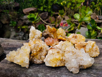 Natural Limonite Spirit Quartz Clusters x 12 From Boekenhouthoek, South Africa