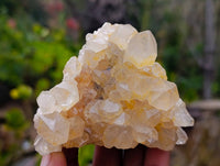 Natural Limonite Spirit Quartz Clusters x 12 From Boekenhouthoek, South Africa