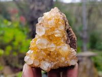 Natural Limonite Spirit Quartz Clusters x 12 From Boekenhouthoek, South Africa