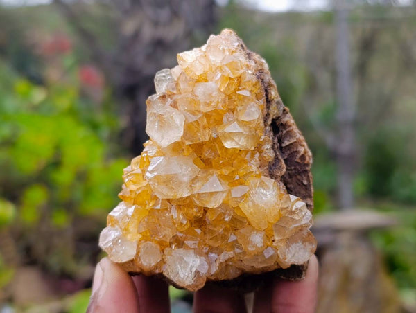 Natural Limonite Spirit Quartz Clusters x 12 From Boekenhouthoek, South Africa