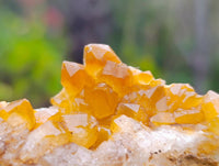 Natural Limonite Spirit Quartz Clusters x 12 From Boekenhouthoek, South Africa