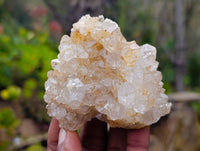 Natural Limonite Spirit Quartz Clusters x 12 From Boekenhouthoek, South Africa