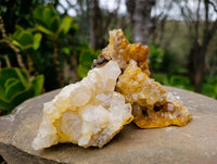 Natural Limonite Spirit Quartz Clusters x 12 From Boekenhouthoek, South Africa