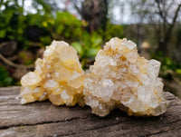 Natural Limonite Spirit Quartz Clusters x 12 From Boekenhouthoek, South Africa