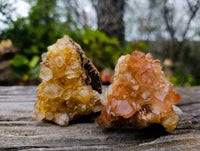 Natural Limonite Spirit Quartz Clusters x 12 From Boekenhouthoek, South Africa