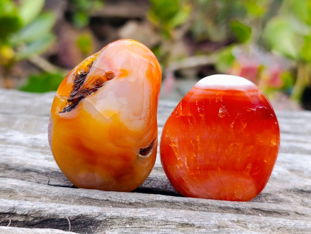 Polished Carnelian Agate Palm Stones x 24 From Madagascar - Toprock Gemstones and Minerals 