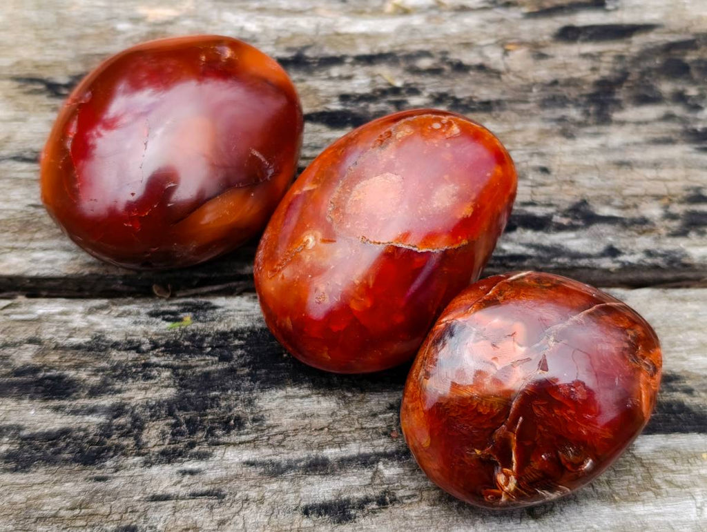 Polished Carnelian Agate Palm Stones x 24 From Madagascar - Toprock Gemstones and Minerals 