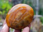 Polished Carnelian Agate Palm Stones x 24 From Madagascar - Toprock Gemstones and Minerals 