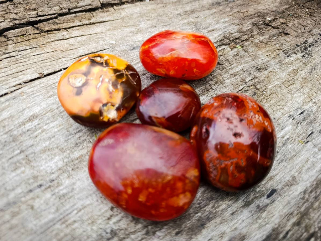 Polished Carnelian Agate Palm Stones x 24 From Madagascar - Toprock Gemstones and Minerals 