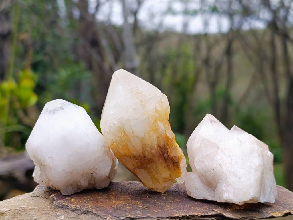 Natural Quartz Clusters x 13 From Madagascar - Toprock Gemstones and Minerals 