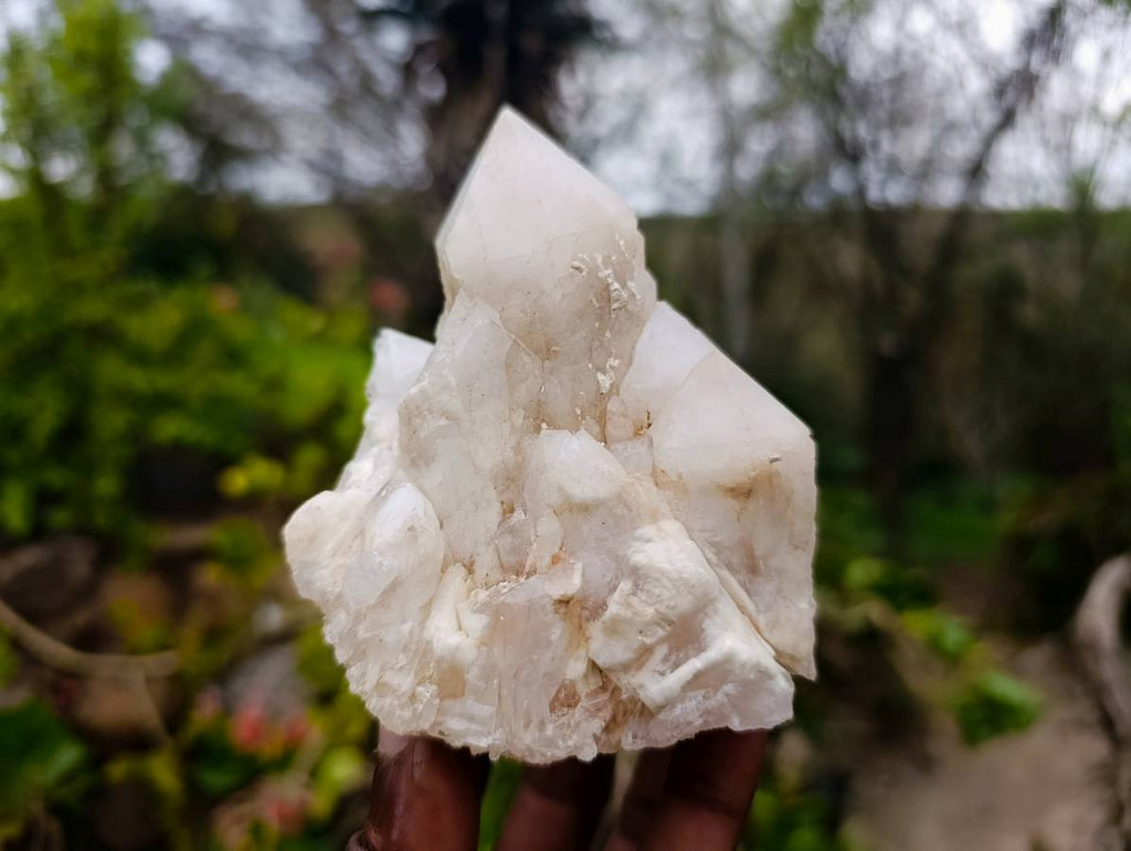 Natural Quartz Clusters x 13 From Madagascar - Toprock Gemstones and Minerals 