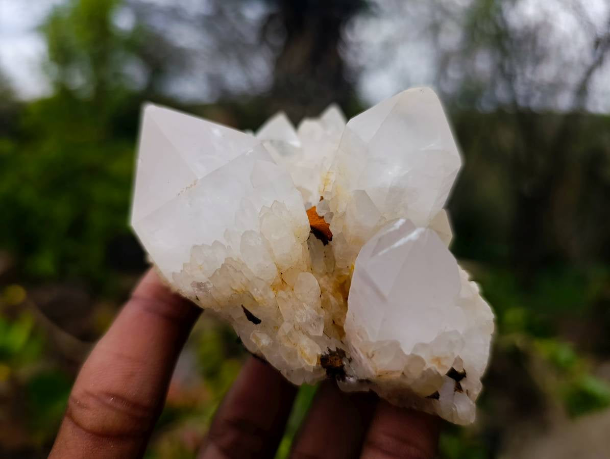 Natural Quartz Clusters x 13 From Madagascar - Toprock Gemstones and Minerals 