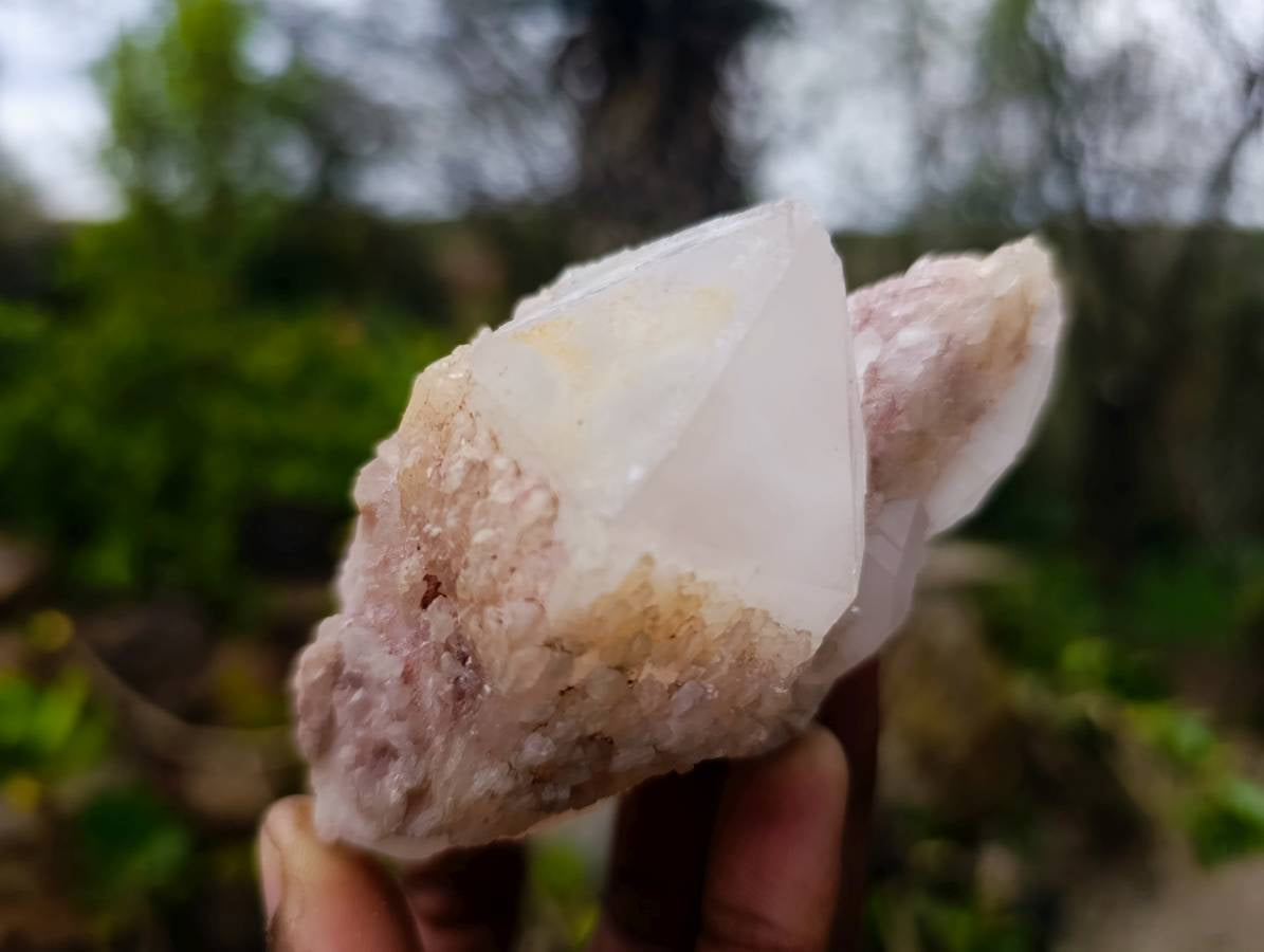 Natural Quartz Clusters x 13 From Madagascar - Toprock Gemstones and Minerals 