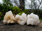 Natural Quartz Clusters x 13 From Madagascar - Toprock Gemstones and Minerals 