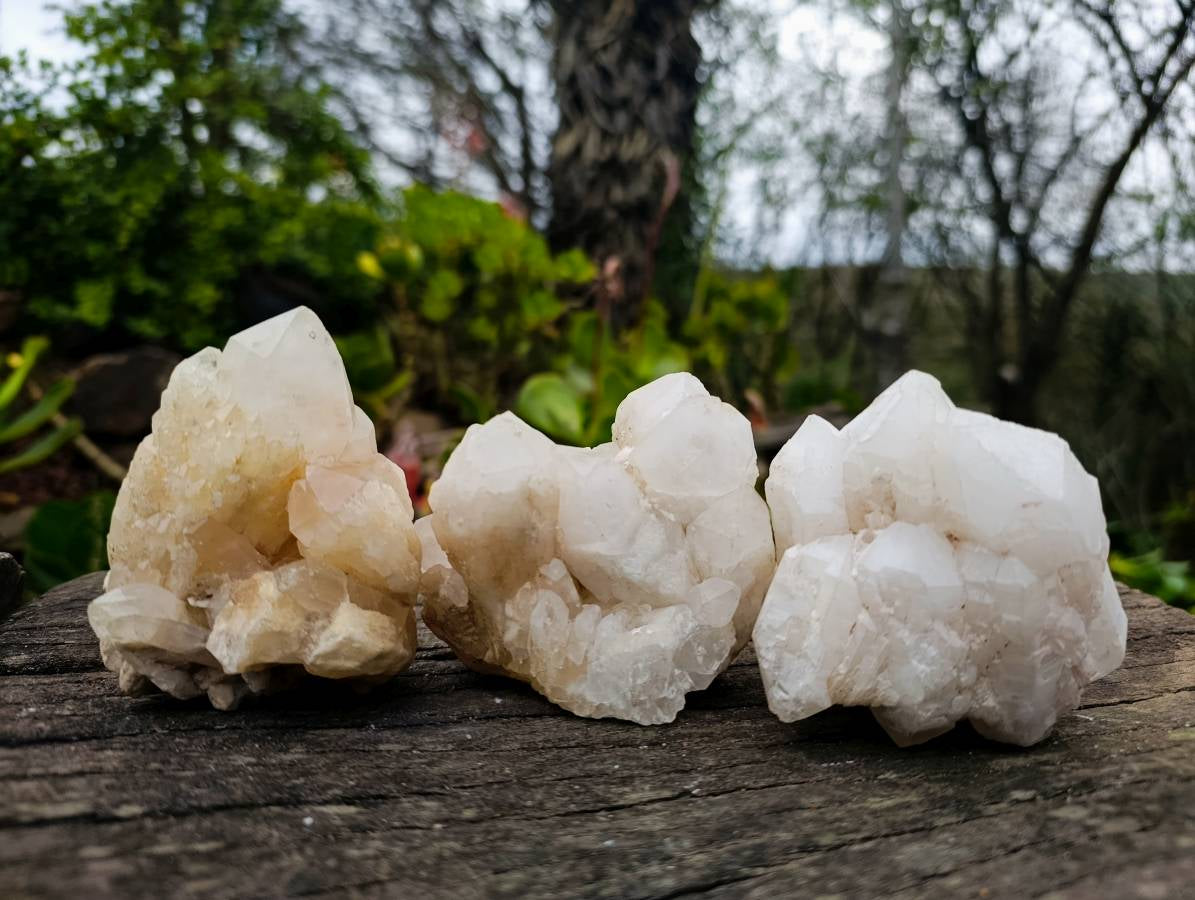 Natural Quartz Clusters x 13 From Madagascar - Toprock Gemstones and Minerals 