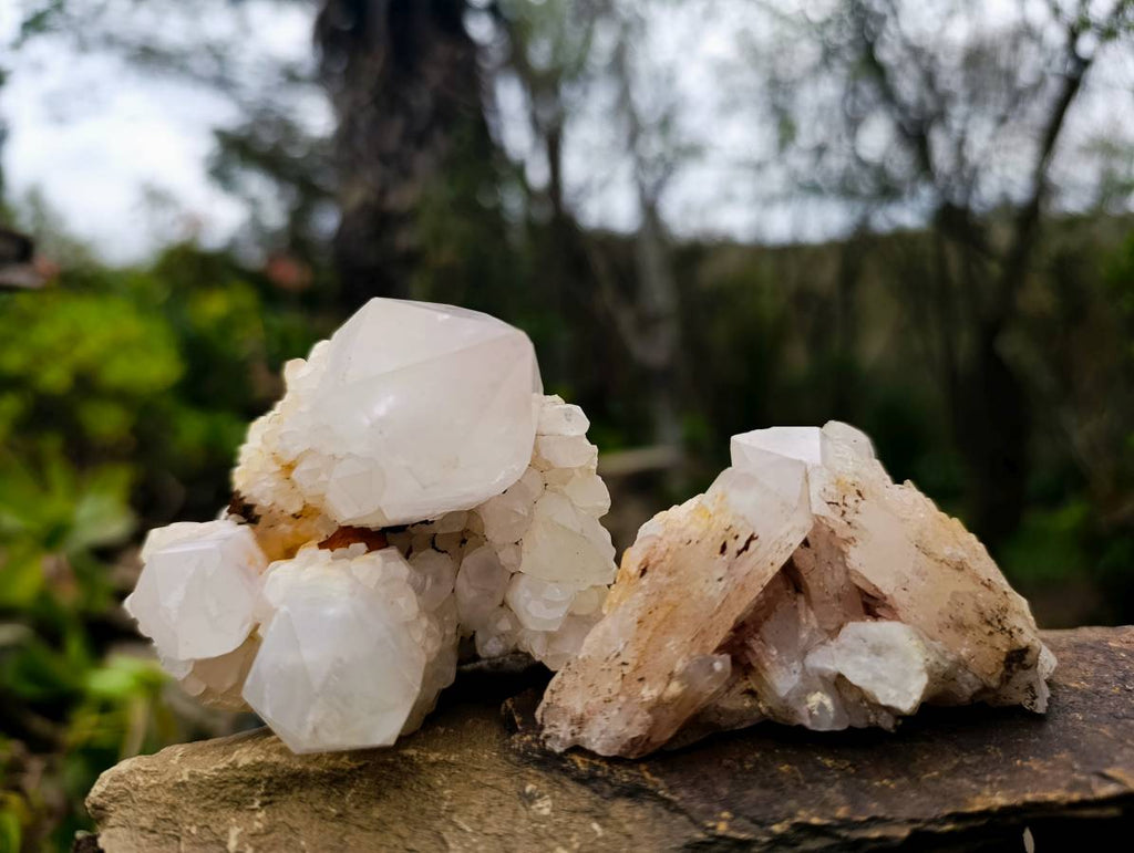Natural Quartz Clusters x 13 From Madagascar - Toprock Gemstones and Minerals 