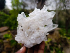 Natural Etched Quartz Clusters x 6 From Zambia - Toprock Gemstones and Minerals 