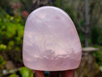 Polished Rose Quartz Standing Free Forms x 2 Madagascar - Toprock Gemstones and Minerals 