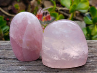 Polished Rose Quartz Standing Free Forms x 2 Madagascar - Toprock Gemstones and Minerals 