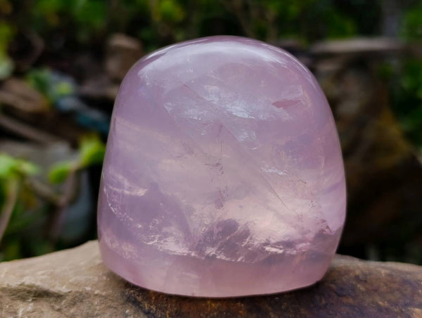 Polished Rose Quartz Standing Free Forms x 2 Madagascar - Toprock Gemstones and Minerals 