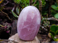 Polished Rose Quartz Standing Free Forms x 2 Madagascar - Toprock Gemstones and Minerals 