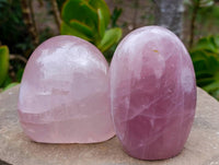 Polished Rose Quartz Standing Free Forms x 2 Madagascar - Toprock Gemstones and Minerals 