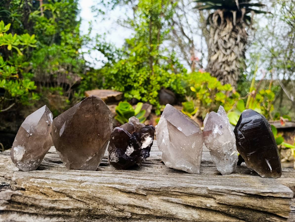 Natural Smokey Quartz Crystals x 6 From Zomba, Malawi - Toprock Gemstones and Minerals 