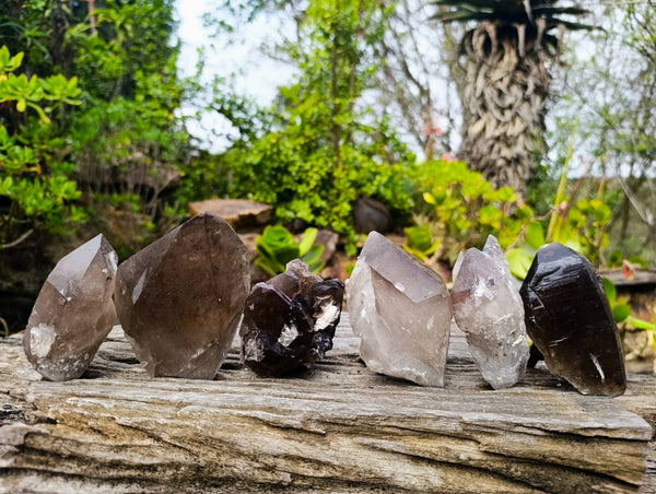Natural Smokey Quartz Crystals x 6 From Zomba, Malawi