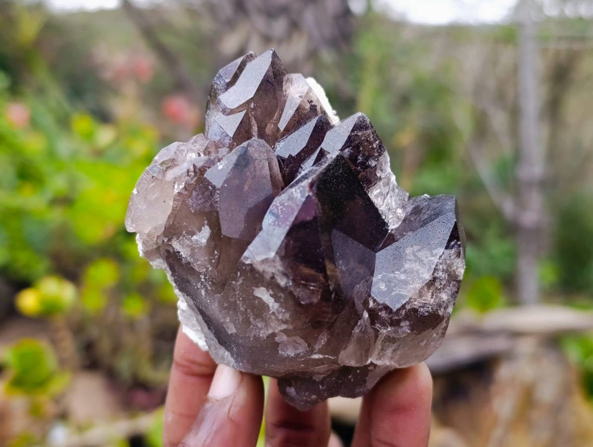 Natural Smokey Quartz Crystals x 6 From Zomba, Malawi - Toprock Gemstones and Minerals 