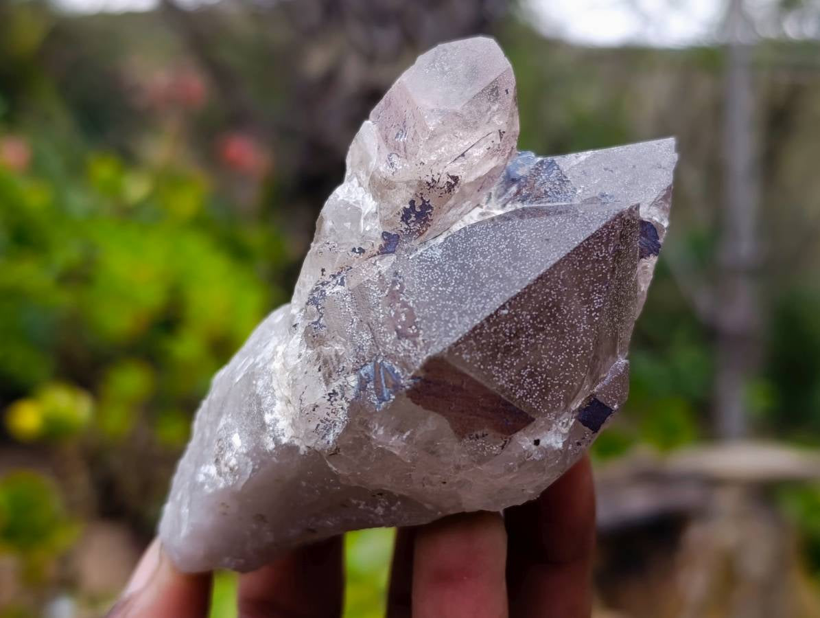 Natural Smokey Quartz Crystals x 6 From Zomba, Malawi - Toprock Gemstones and Minerals 