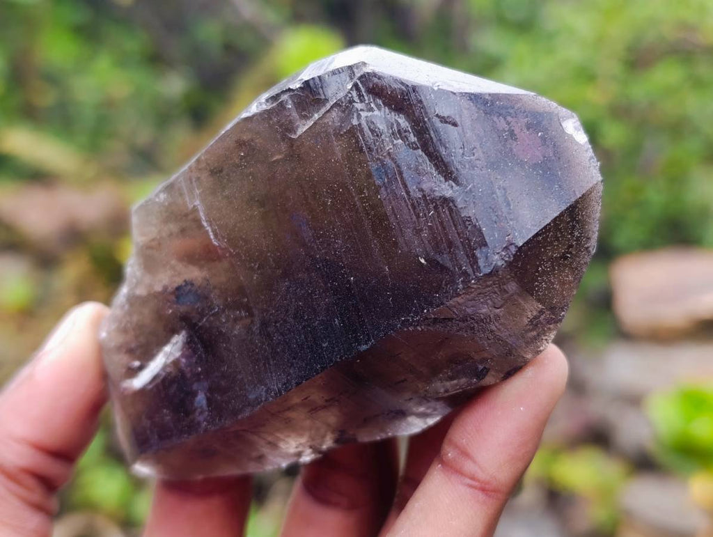 Natural Smokey Quartz Crystals x 6 From Zomba, Malawi - Toprock Gemstones and Minerals 