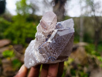 Natural Smokey Quartz Crystals x 6 From Zomba, Malawi