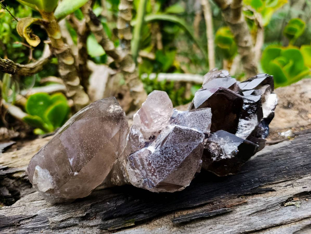 Natural Smokey Quartz Crystals x 6 From Zomba, Malawi - Toprock Gemstones and Minerals 