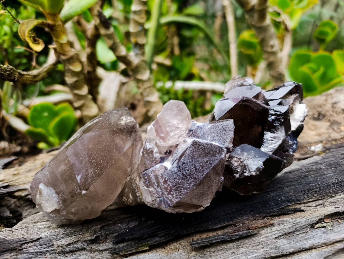 Natural Smokey Quartz Crystals x 6 From Zomba, Malawi - Toprock Gemstones and Minerals 